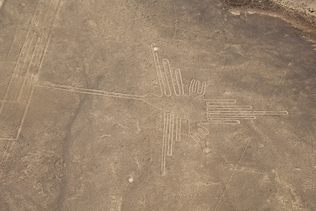 Peru lineas de nazca.webp