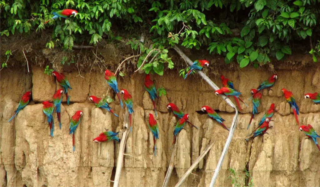 sur de peru.webp