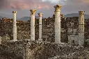 pexels-roman-odintsov-5319708.webp