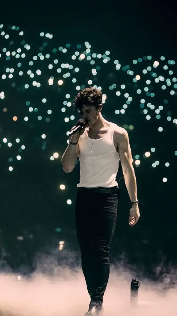 Web Experiencias – Shawn Mendes en San José | Un viaje íntimo con tu artista favorito